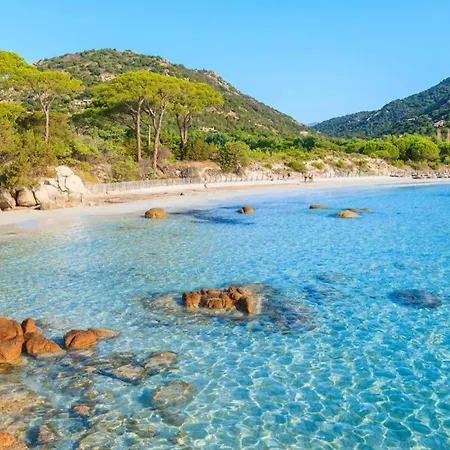 Beautiful Renovated La Boheme Hyères