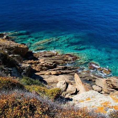 Beautiful Renovated La Boheme * Hyères